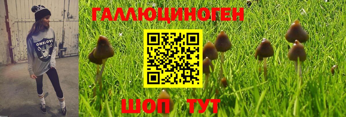 Псилоцибиновые грибы GOLDEN TEACHER  Галлюциногенные грибы MAGIC MUSHROOMS  Вход с VPN  Советский 