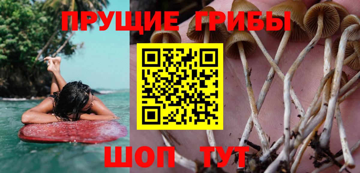 Псилоцибиновые грибы мухоморы Советский